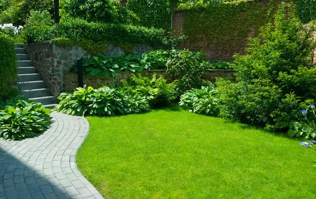Garten mit Rasen, Weg und Treppe nach der Pflege