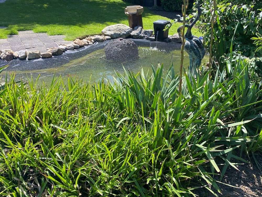Gepflegter Vorgarten mit Gräsern und Teich